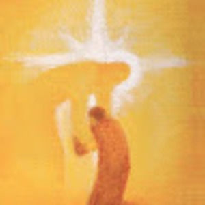 Meet your Posher, Joy